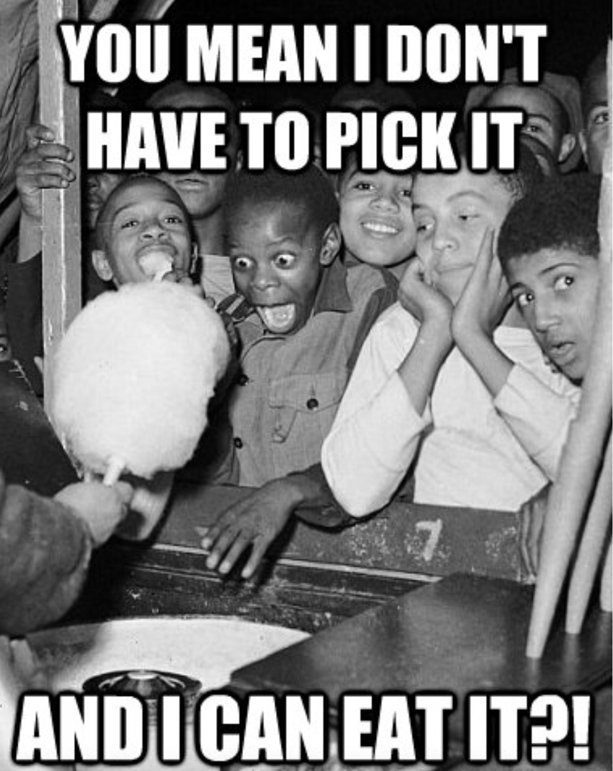 Chaotic Meh meme titled “Dont Have To Pick It Can Eat It.”