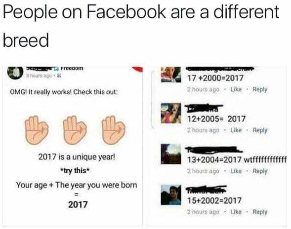 Chaotic Meh meme titled “Age Plus Birth Year Equals 2017.”