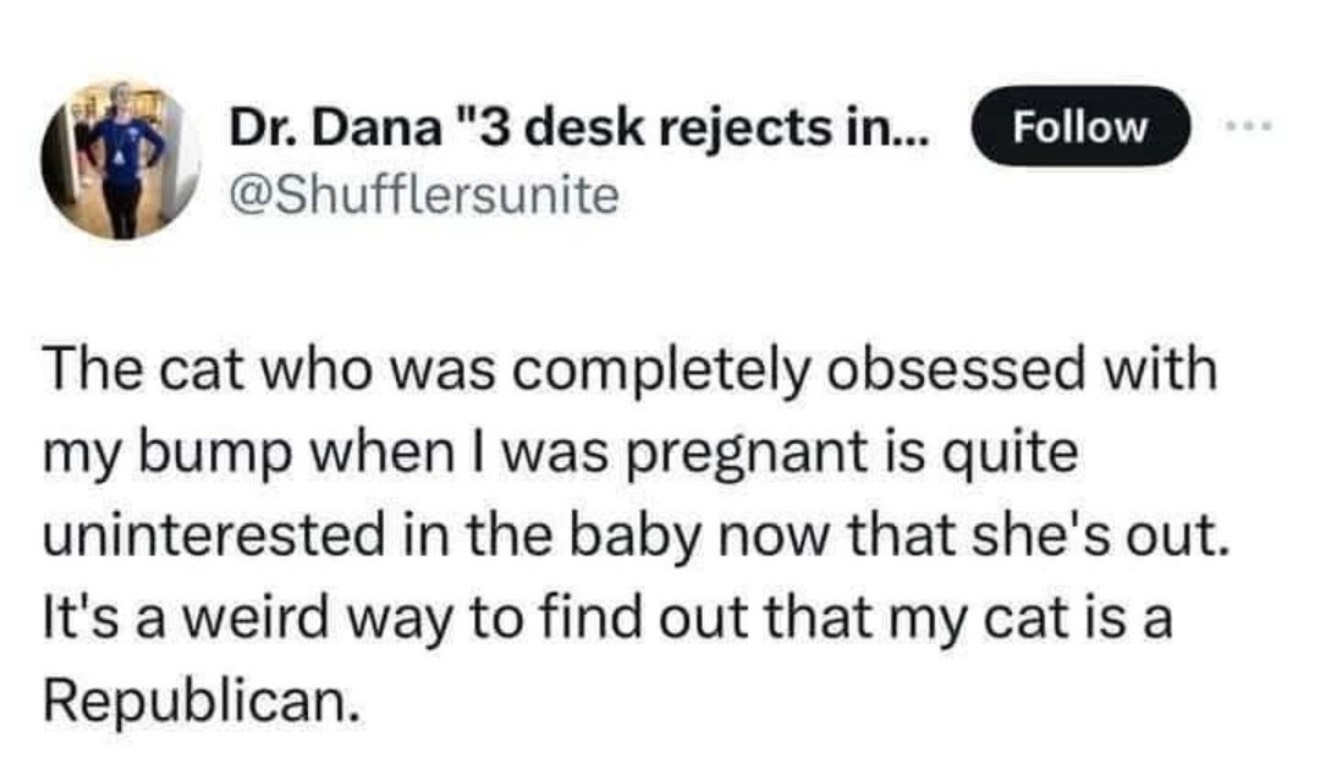 Chaotic Meh meme titled “Cat Obsessed With Bump Uninterested In Baby Republican.”