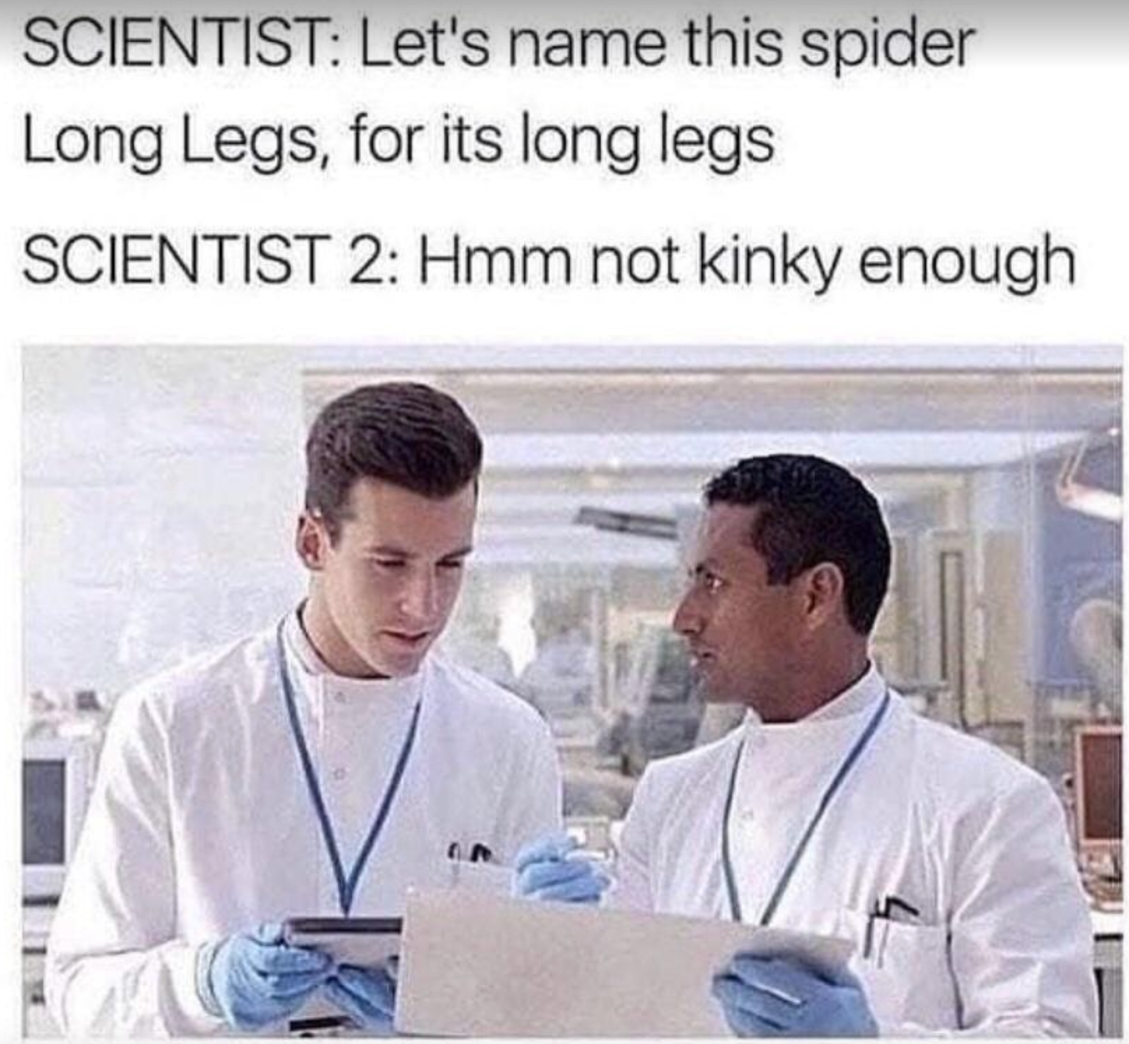 Chaotic Meh meme titled “Not Kinky Enough Daddy Long Legs.”