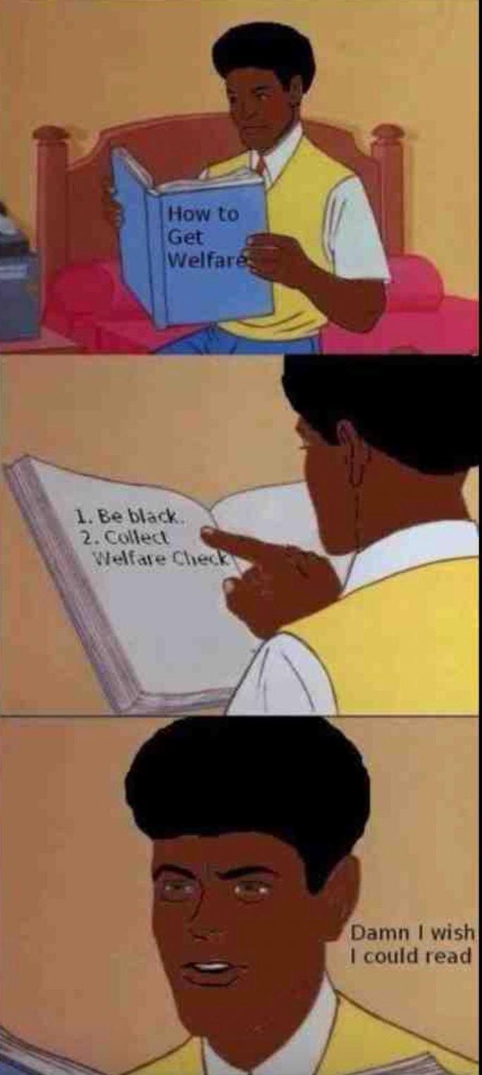 Chaotic Meh meme titled “How To Get Welfare Wish I Could Read.”