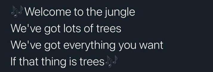 Chaotic Meh meme titled “Welcome To The Jungle Lots Of Trees.”