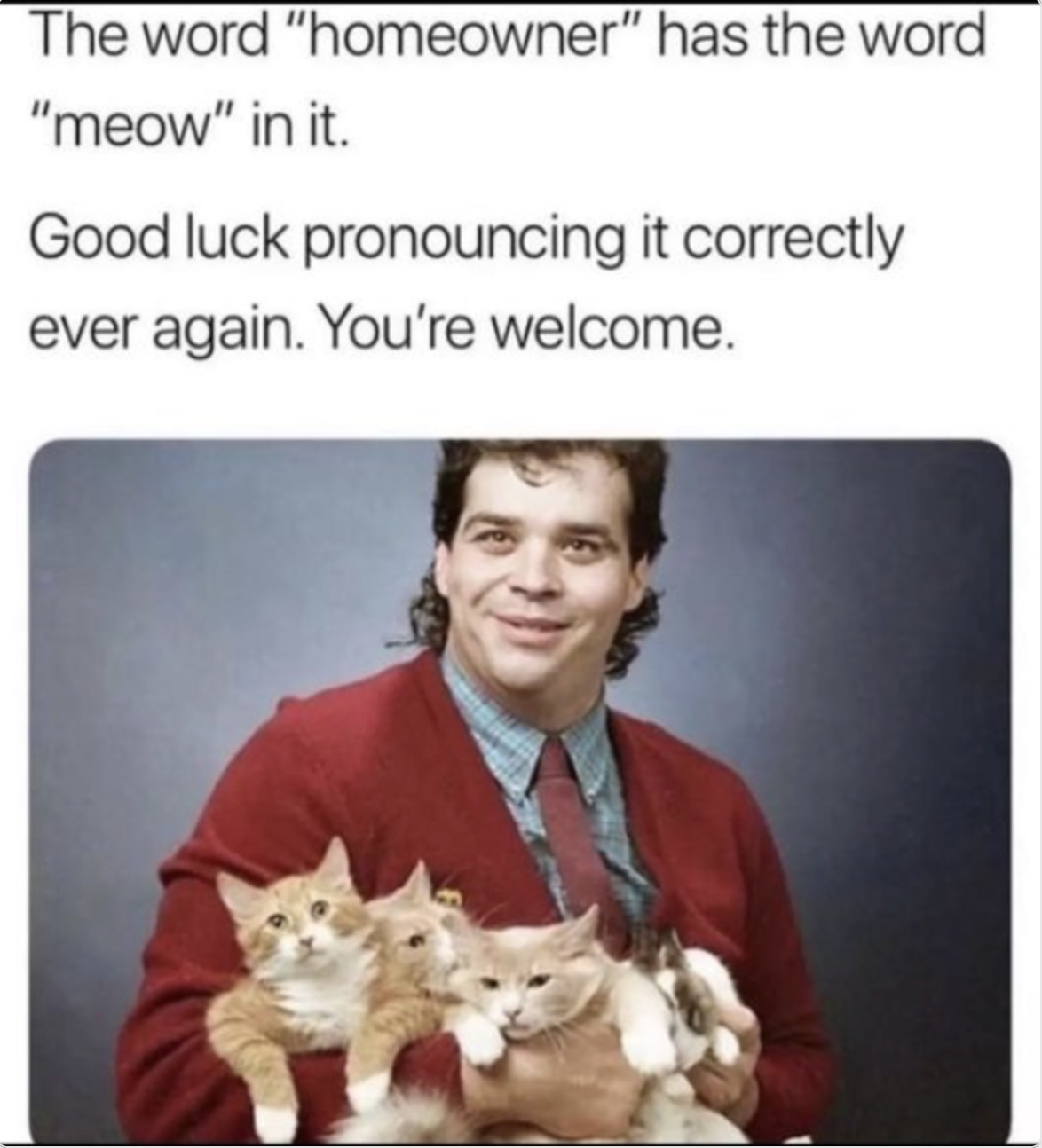 Chaotic Meh meme titled “Homeowner Has Meow In It.”