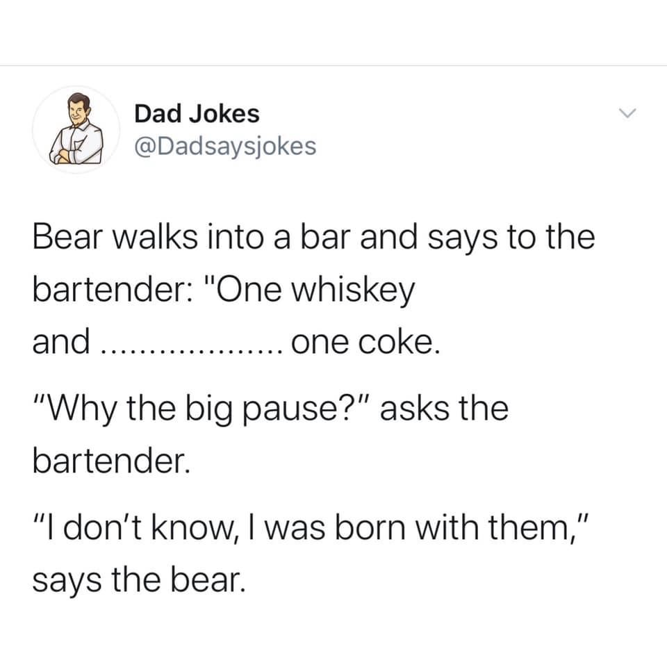 a-bear-walks-into-a-bar