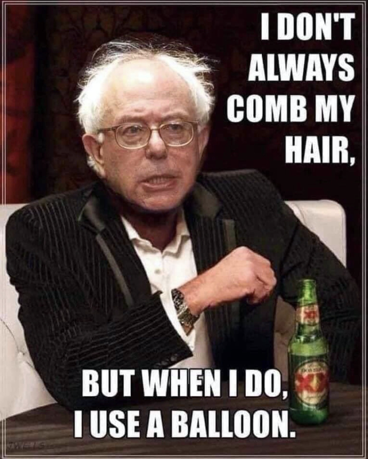 bernie-s-hair