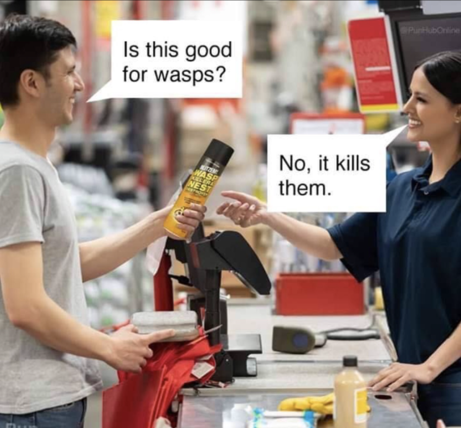 is-this-good-for-wasps