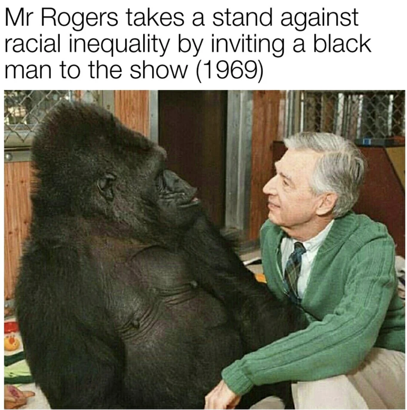mr-rogers-takes-a-stand