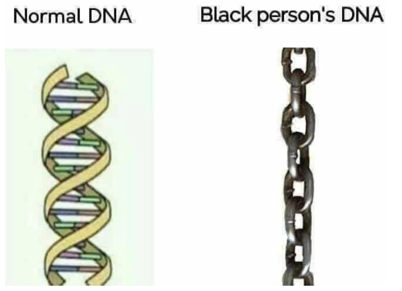 normal-dna