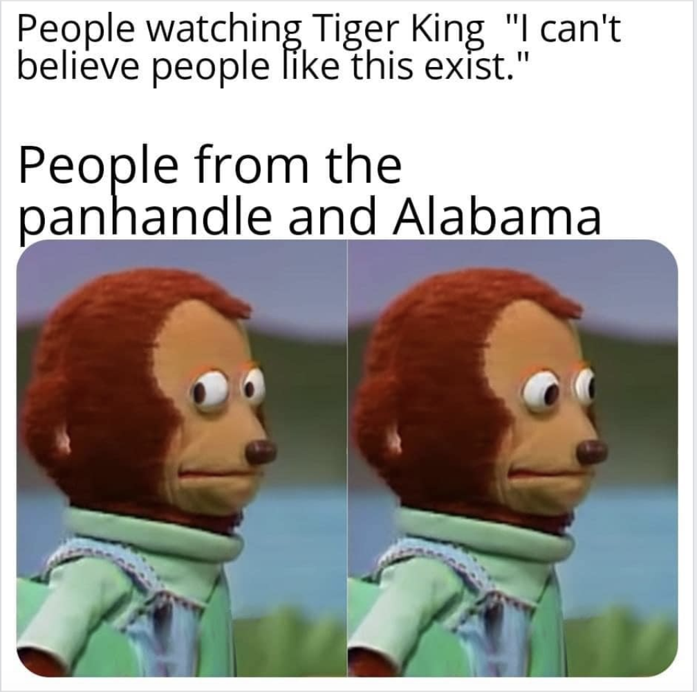 people-watching-tiger-king