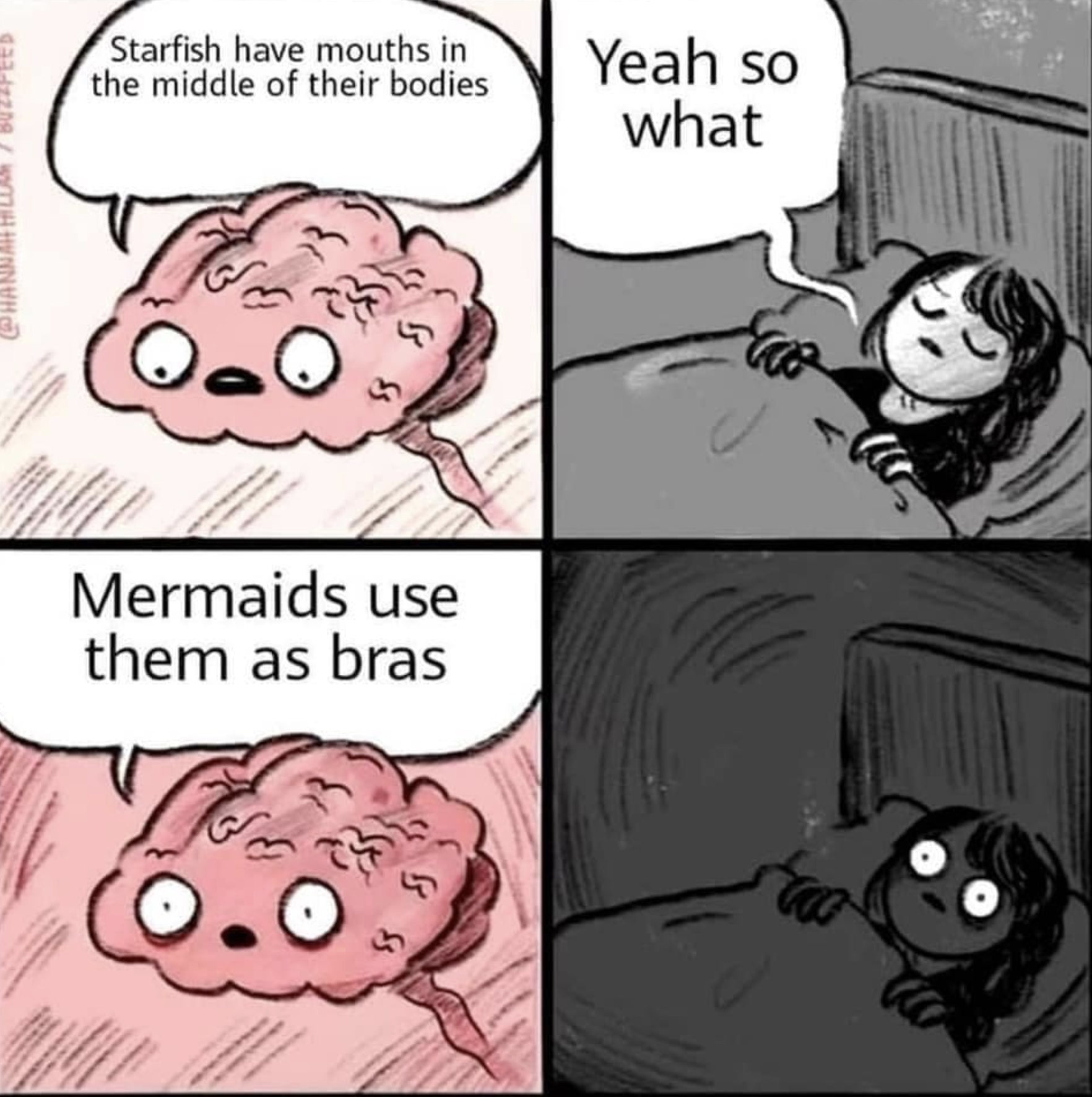 starfish-have-mouths