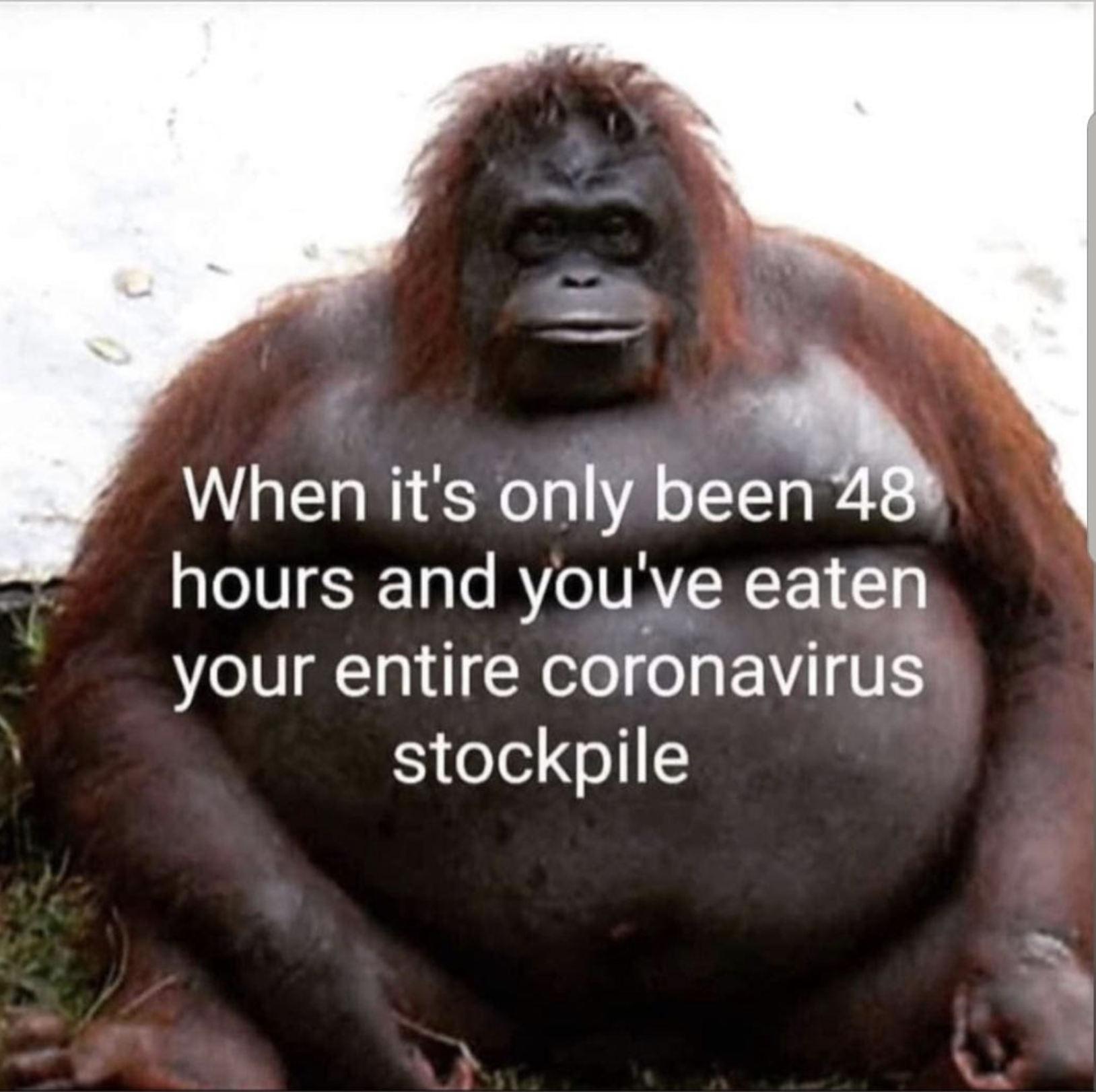 the-coronavirus-stockpile