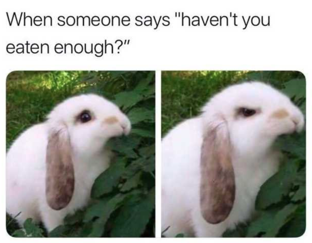 when-someone-asks-if-you-ve-eaten-enough